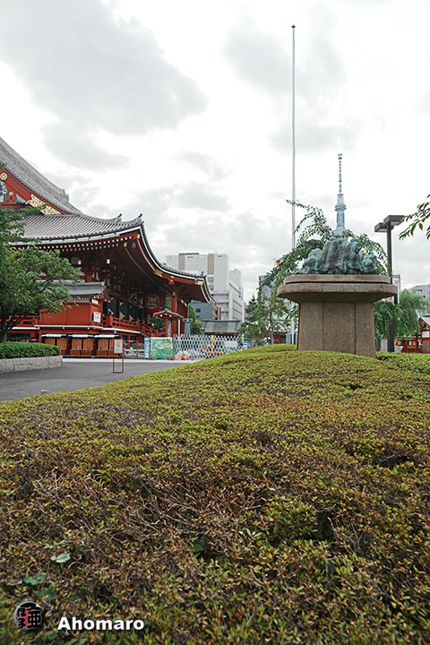 写真00
