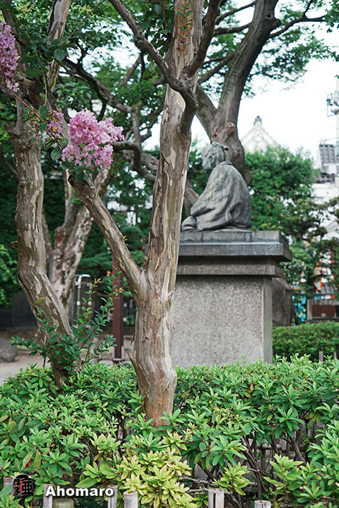 写真00