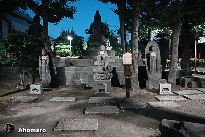 写真00