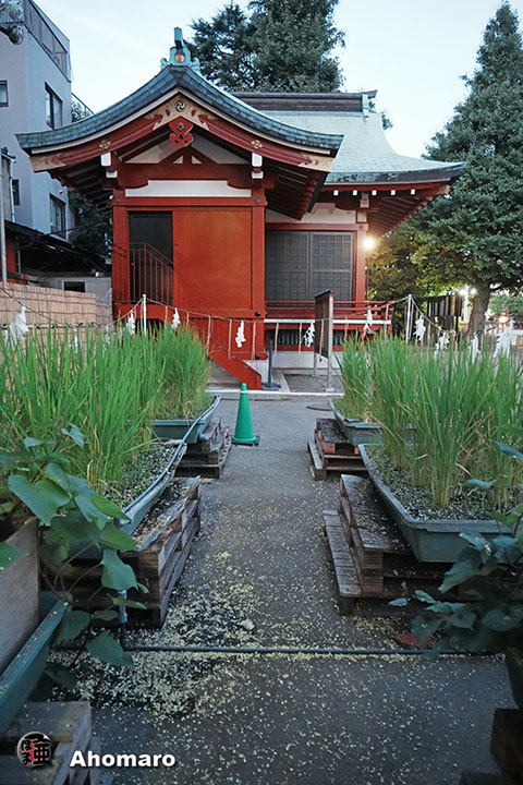 写真00