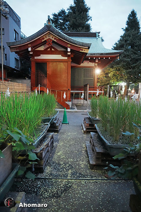 写真00