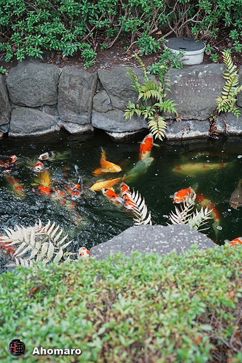 写真00