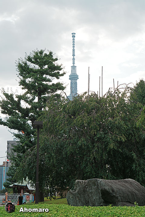 写真00