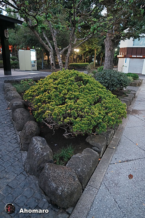 写真00