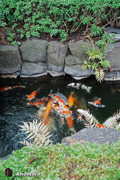 写真00