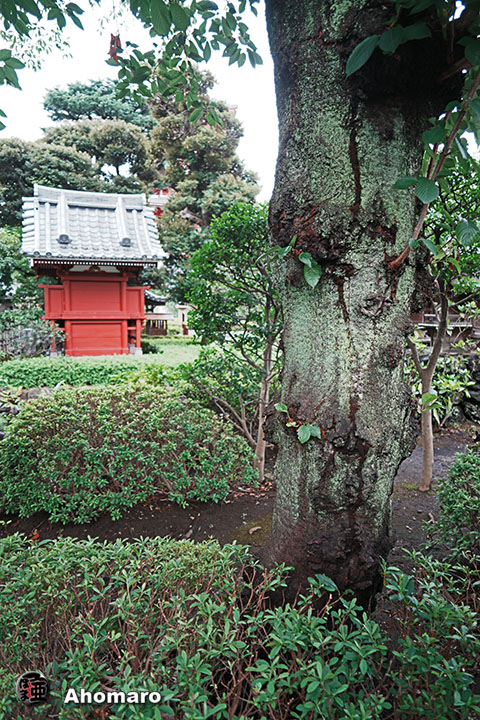 写真00