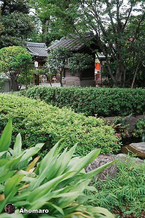 写真00