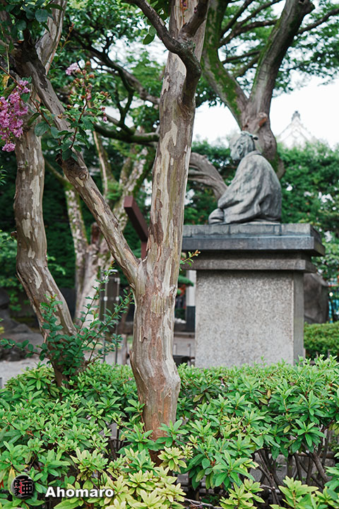 写真00
