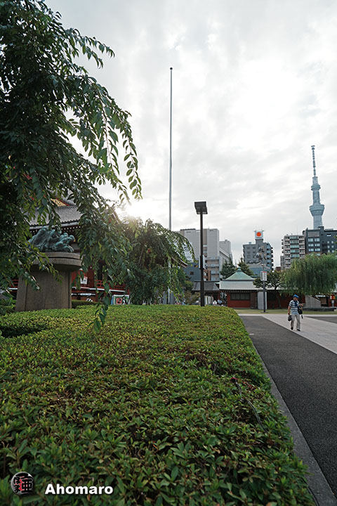 写真00
