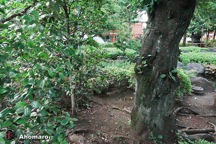 写真00