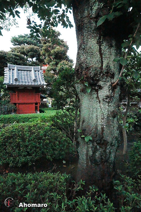 写真00