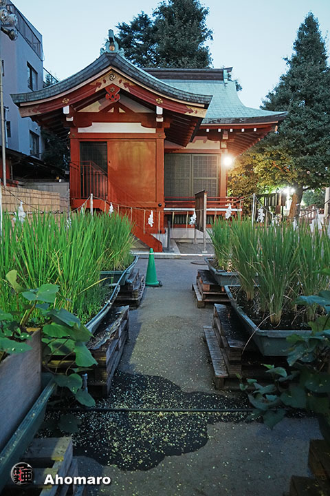 写真00