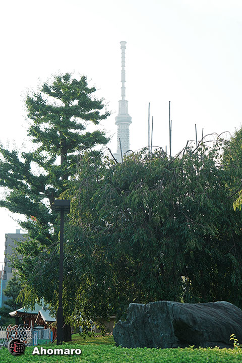 写真00