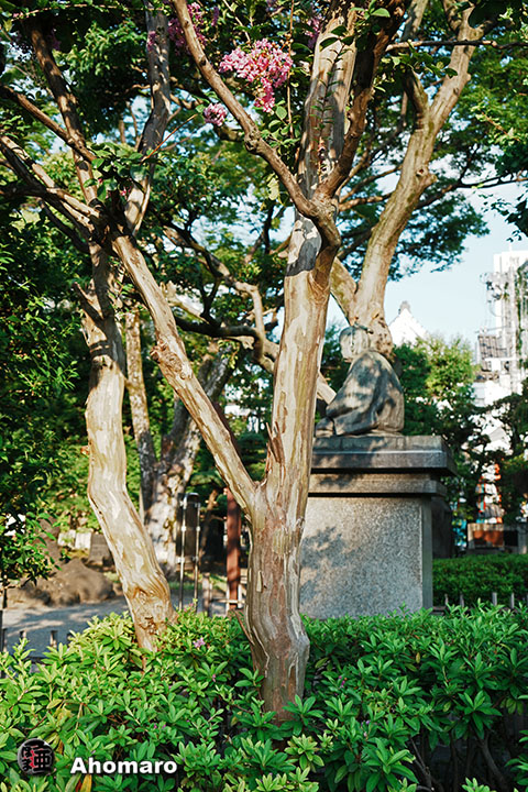 写真00