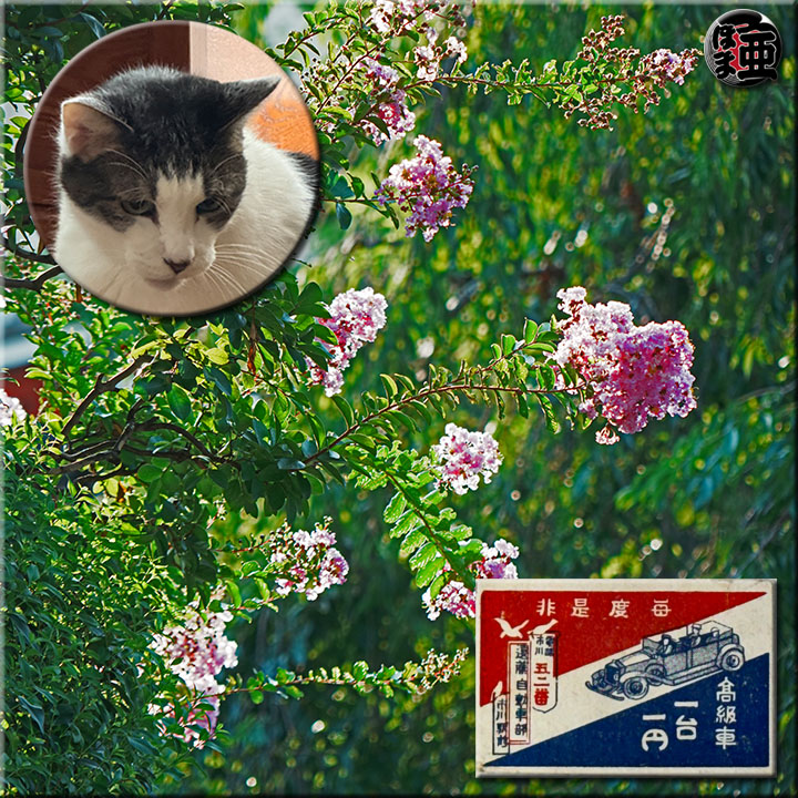 Lʐ^