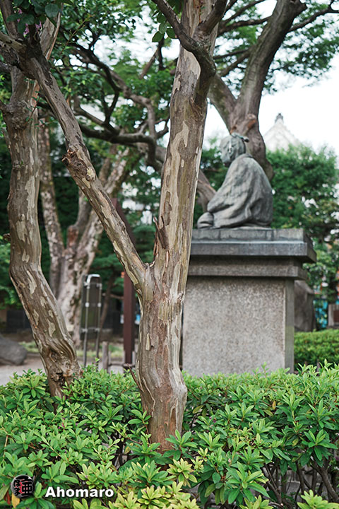 写真00