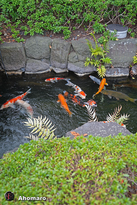 写真00