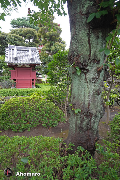 写真00