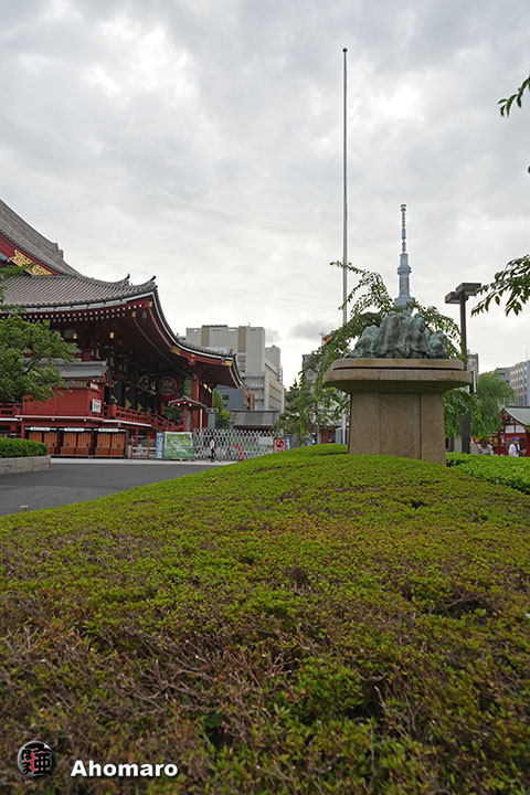 写真00