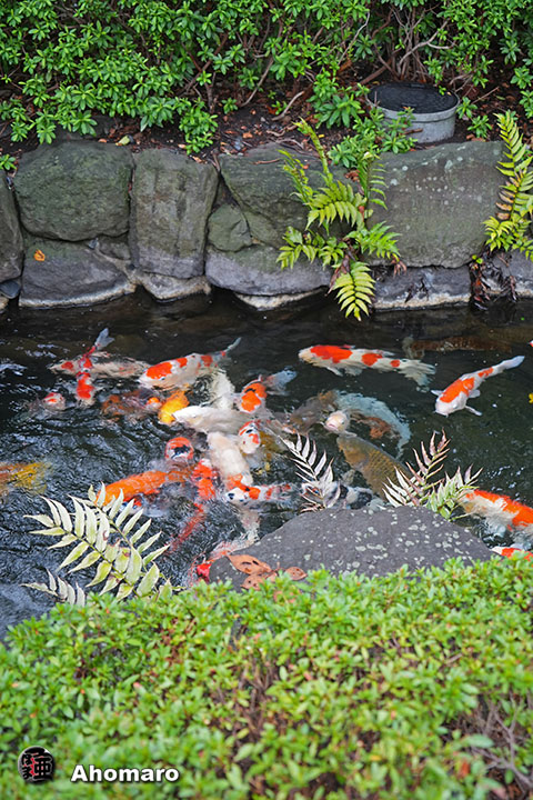 写真00