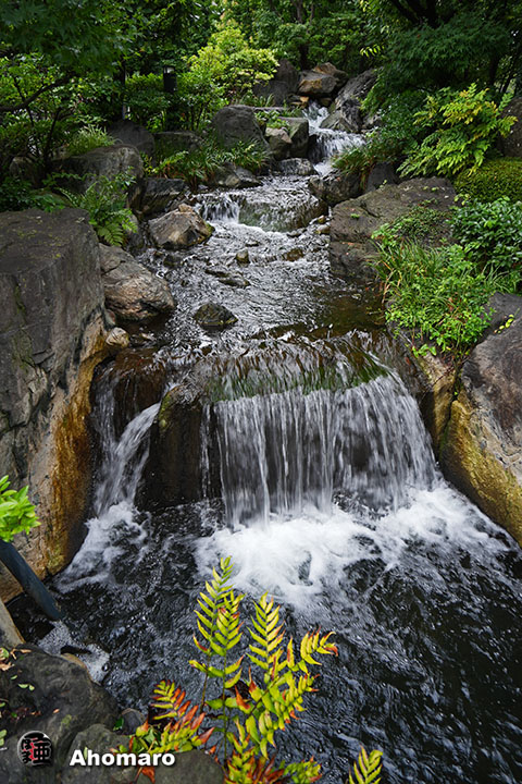 写真00