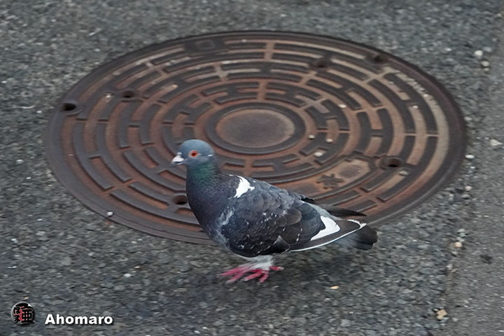 ʐ^00
