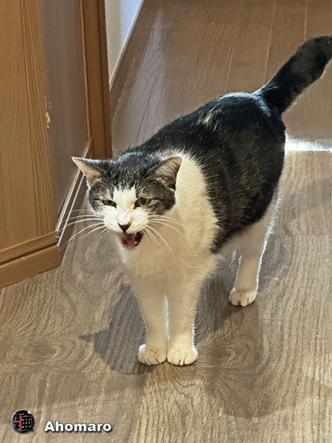 ʐ^00