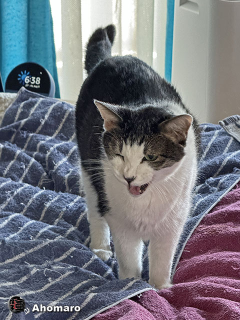 ʐ^00