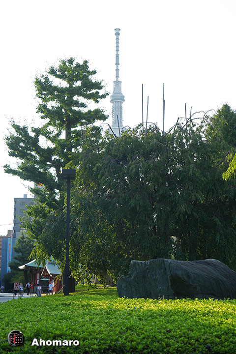 写真00