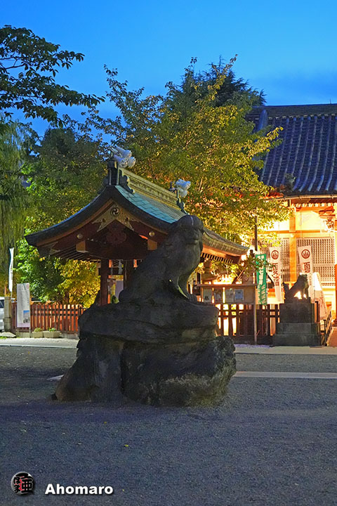 写真00