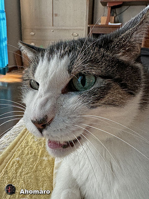 ʐ^00