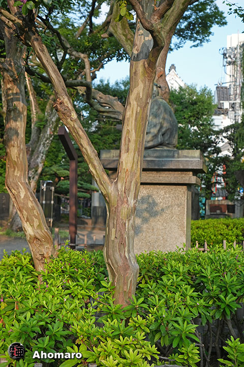 写真00