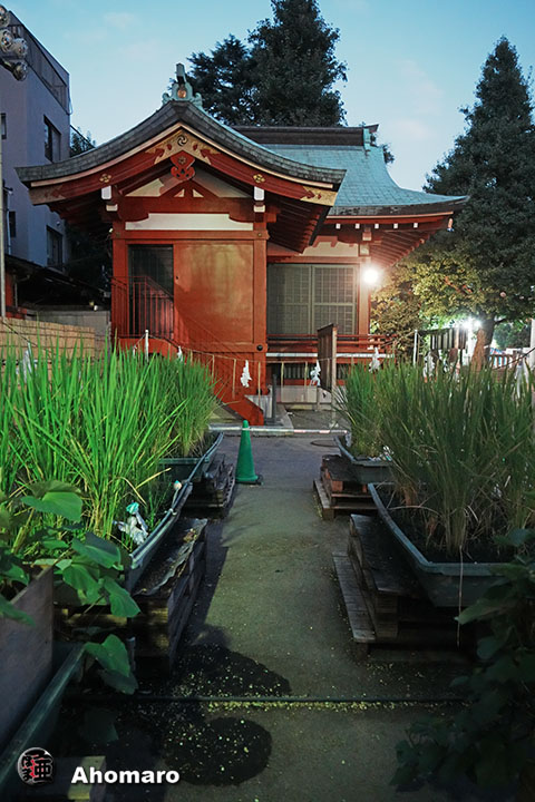 写真00