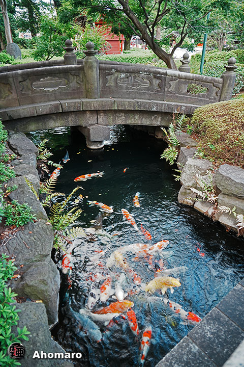 写真00