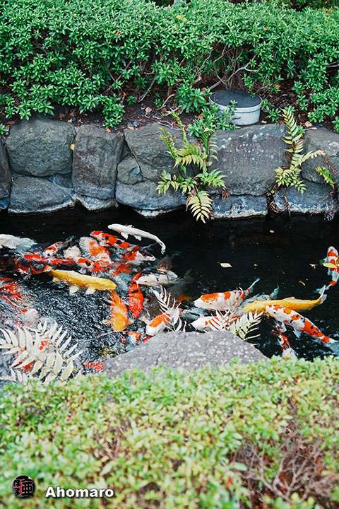 写真00