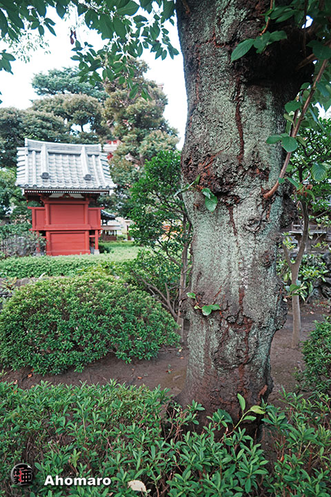 写真00