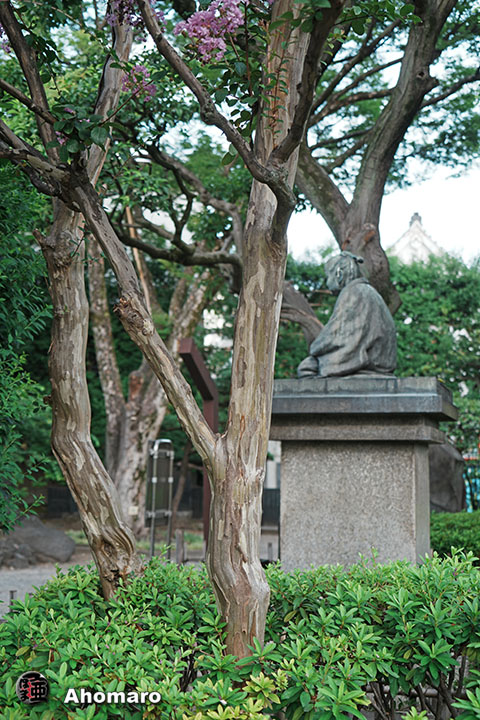 写真00
