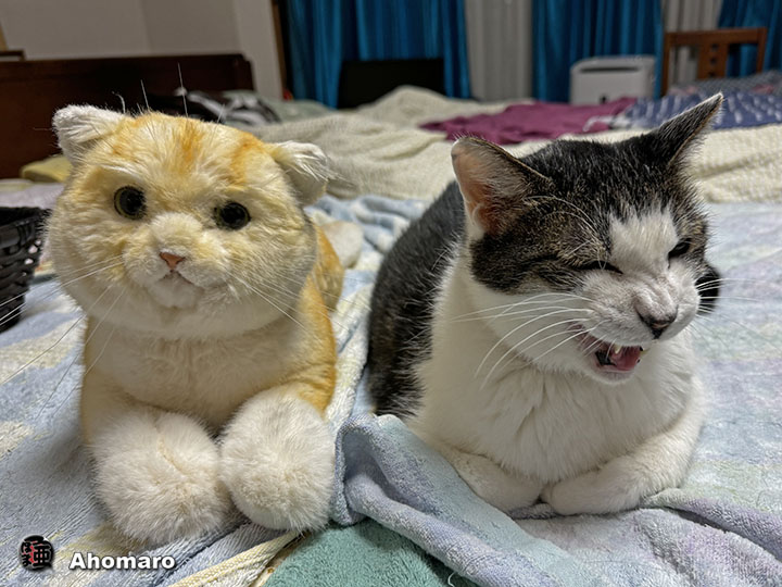 ʐ^00