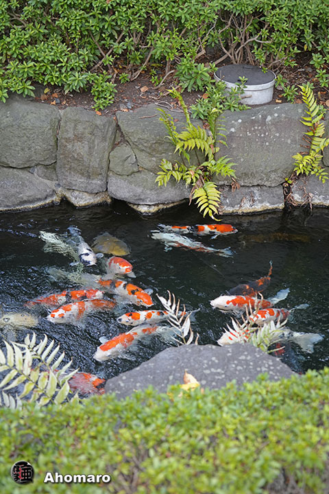 写真00