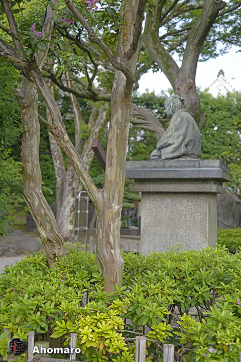 写真00