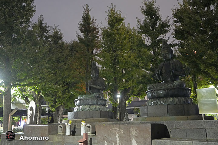 写真00