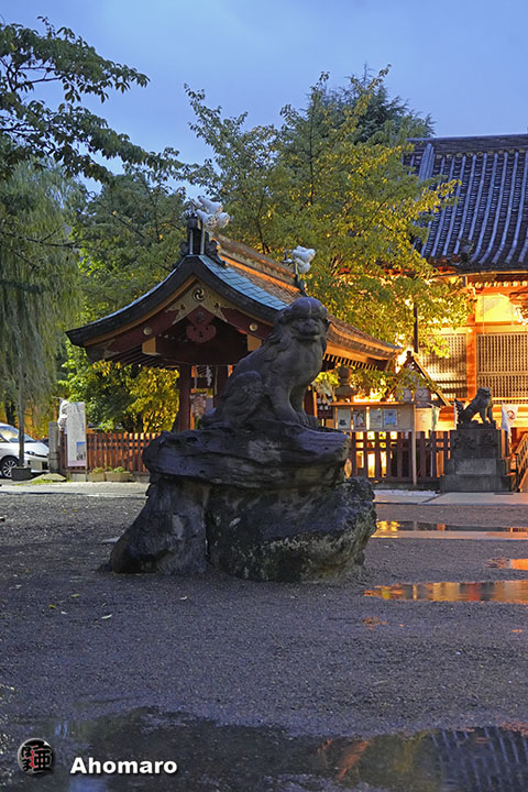写真00