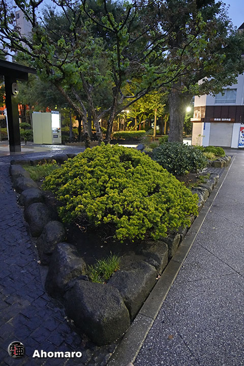 写真00
