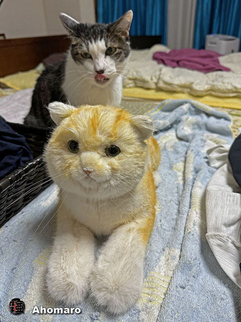 ʐ^00