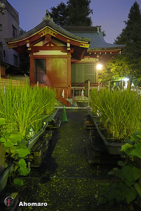 写真00