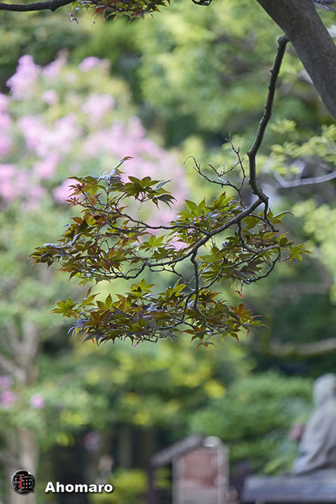 写真00
