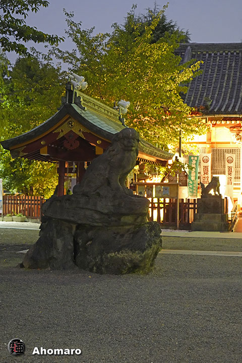 写真00