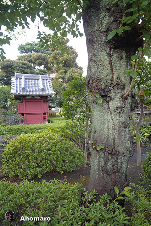 写真00