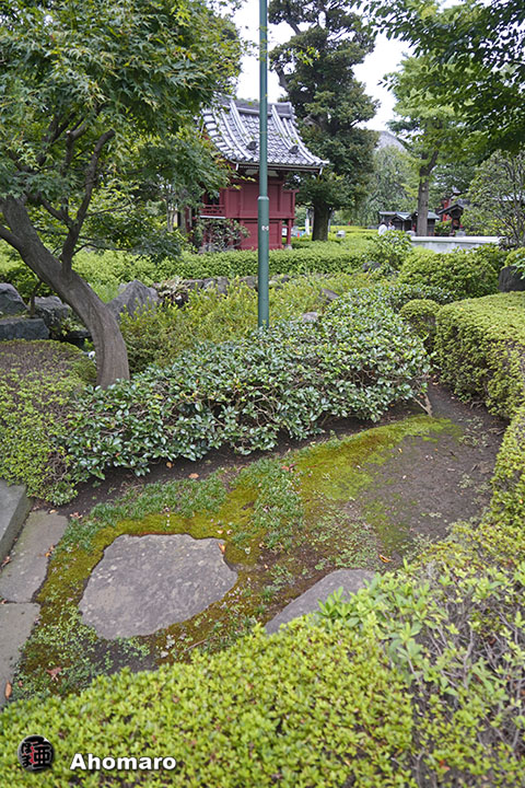 写真00