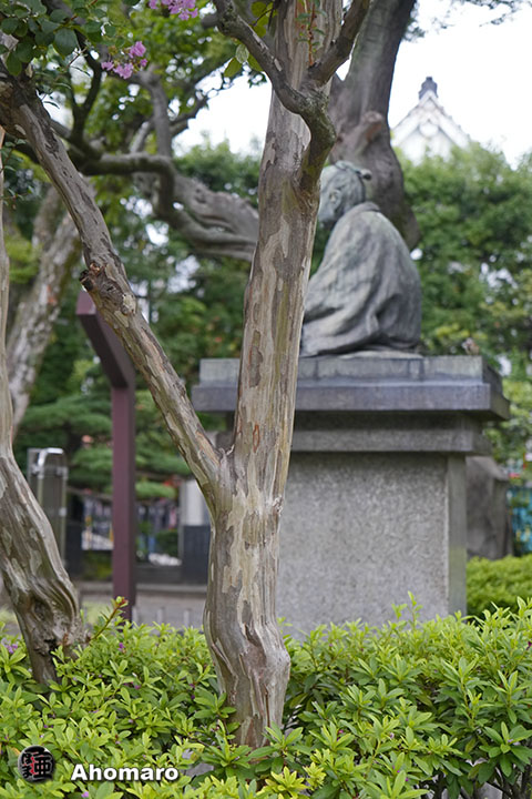 写真00